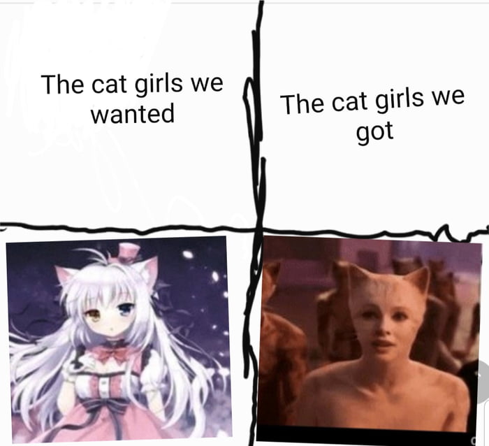 Genetically engineered catgirls for domestic ownership - 9GAG