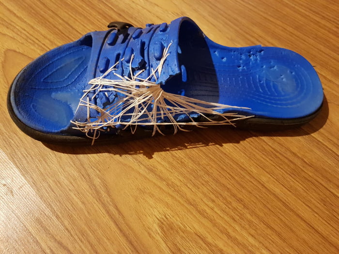 My dog chewed my shoe and I repaired it. What do you think ? 9GAG