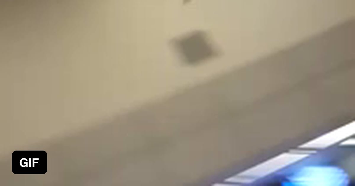 The cat didn't bat an eye 9GAG