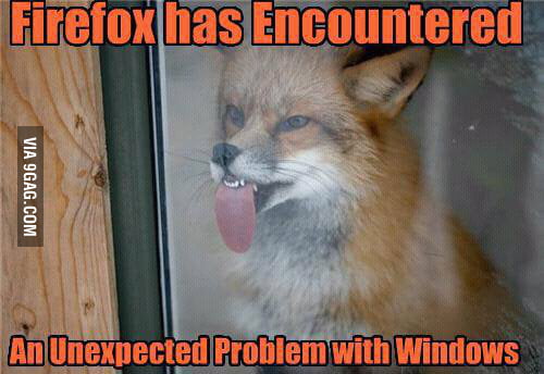 mozilla firefox flash plugin keep feezing