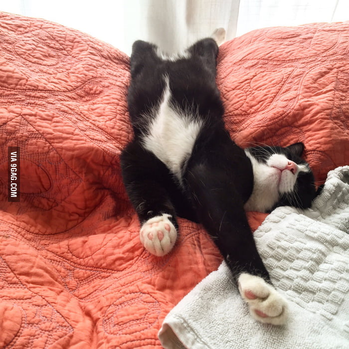 ultimate-sleep-mode-activated-9gag