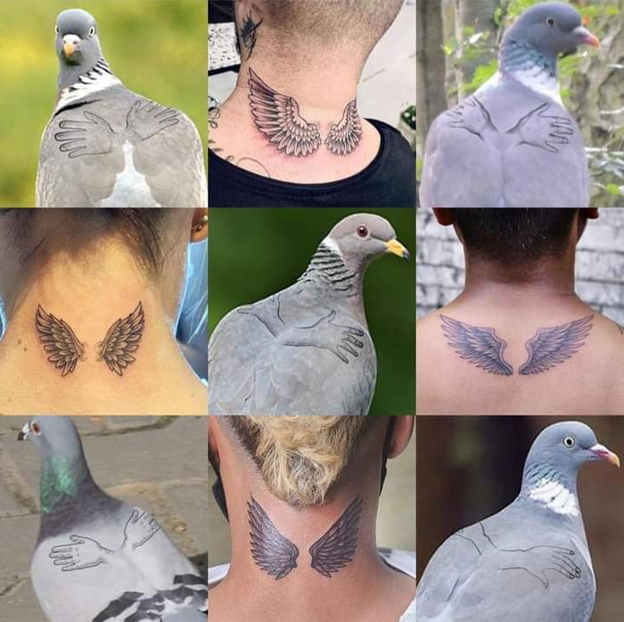 Beautiful Pigeon New Design Waterproof Boys and Girls Temporary Body Tattoo