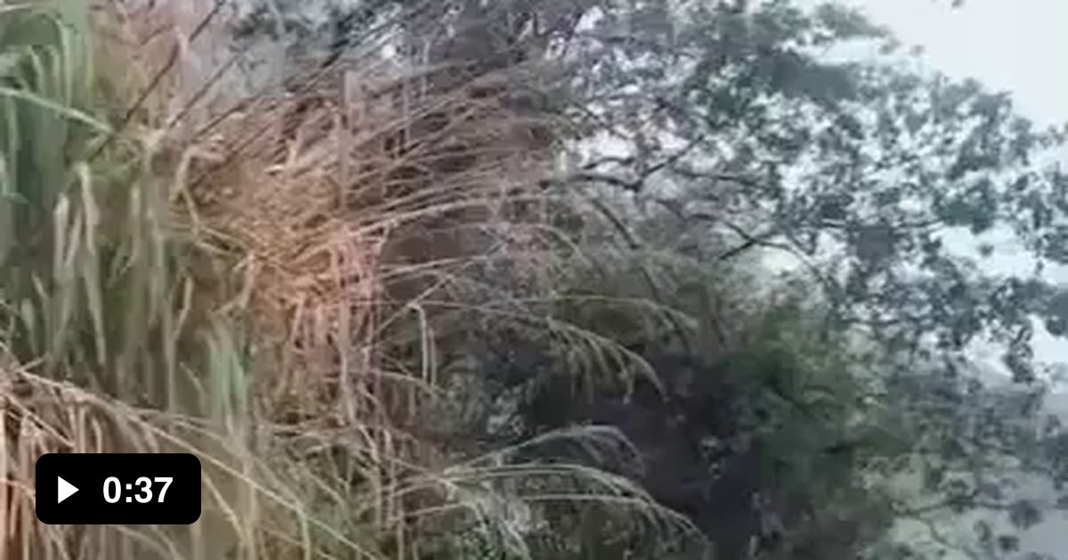 This man got out to check on some rocks on the road, and his dashcam ...