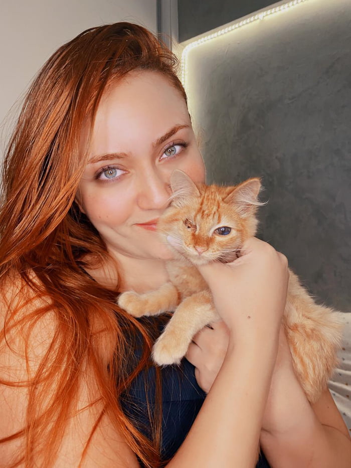 Are U A Cat Person 9GAG are-u-a-cat-person-9gag