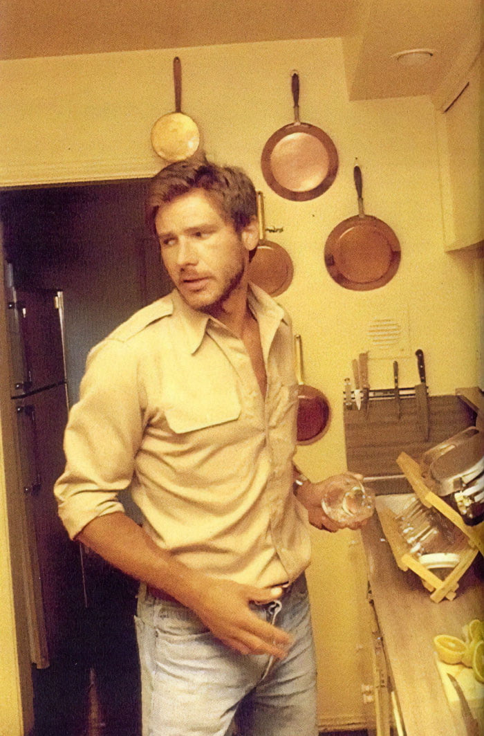 Harrison Ford In The Late S Gag