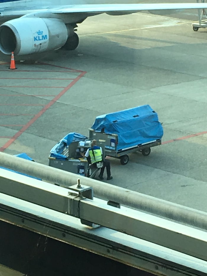 This lovely man from KLM took the time to sit with my friend's cats and