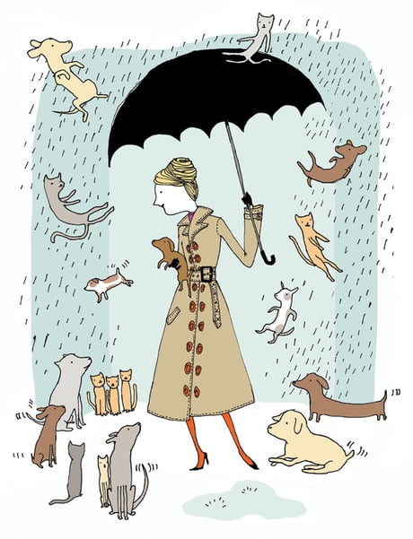 who said its raining cats and dogs