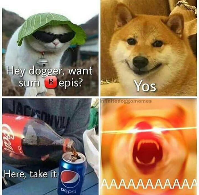 Doge got bamboozled! - 9GAG