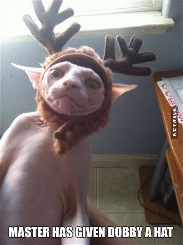 I nearly died laughing!