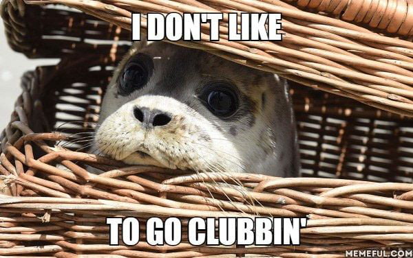 Sad Seal Is Sad - 9gag