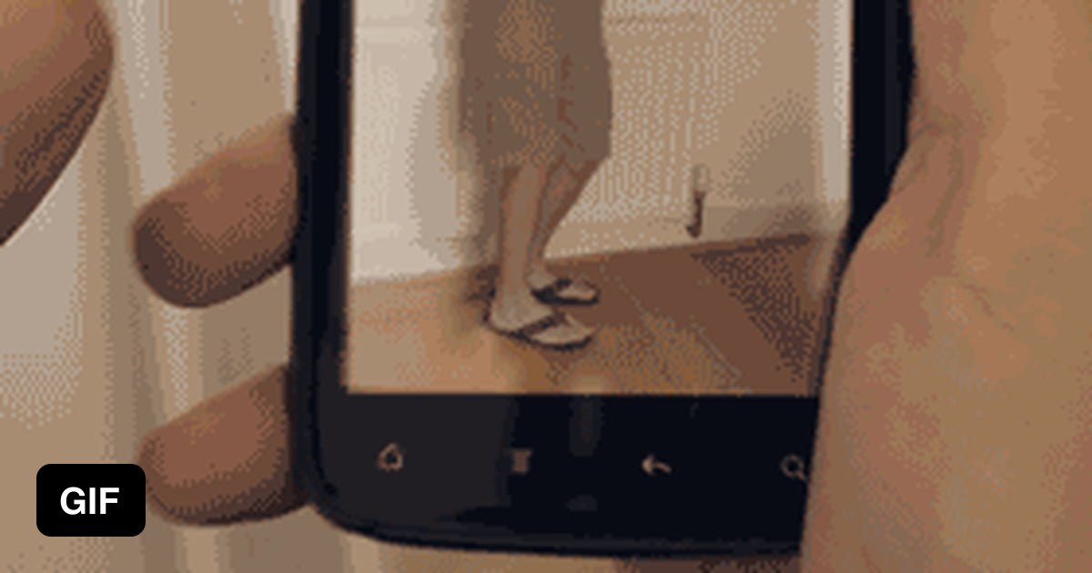 A perfect loop!! - 9GAG