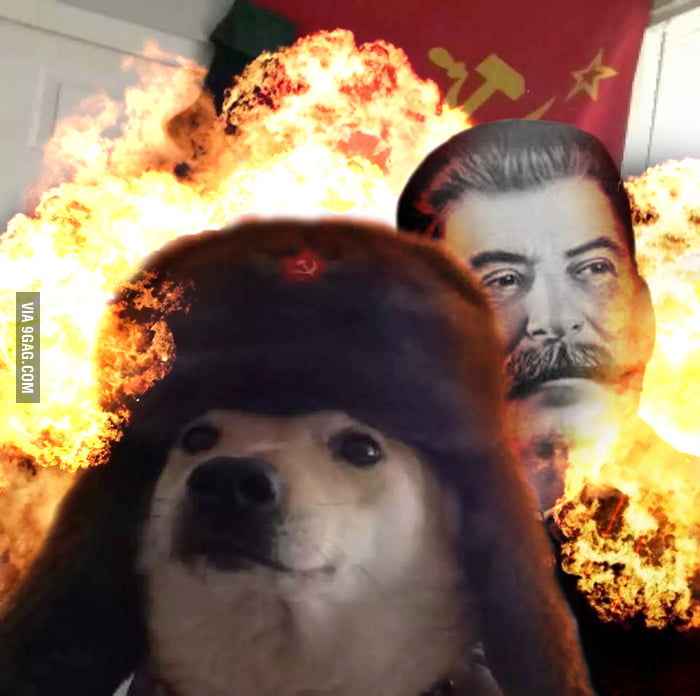 To the guy that introduced Russian doge, meet Better Russian Doge - 9GAG