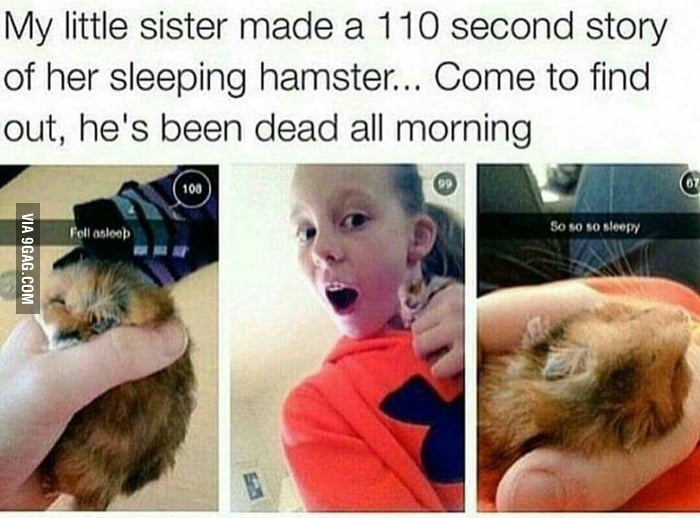 Fell Asleep 9gag 