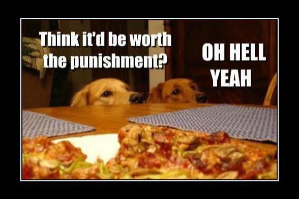 Oh Hell Yeah - 9GAG