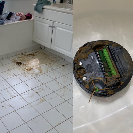Roomba Running Over Dog Poop And Proceeds To Clean The House 9gag