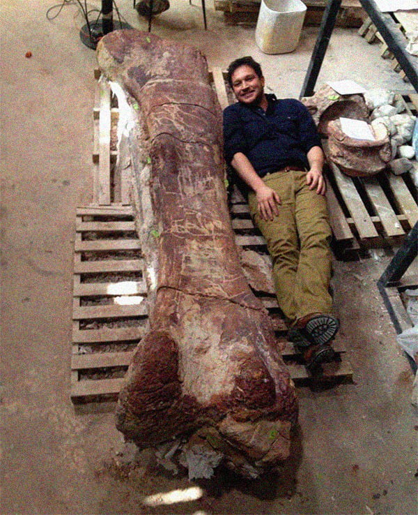 In 2013 The First Bone Of The New Biggest Dinosaur Was Discovered In