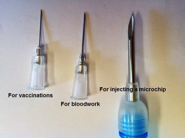 The Difference In Needle Sizes For Vaccines Blood Draws And Pet 