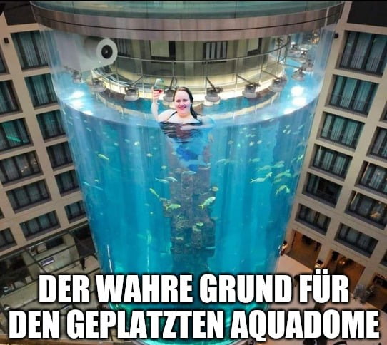 Wenn Man Nicht Warten Kann Dass Fische Auf Dem Teller Serviert