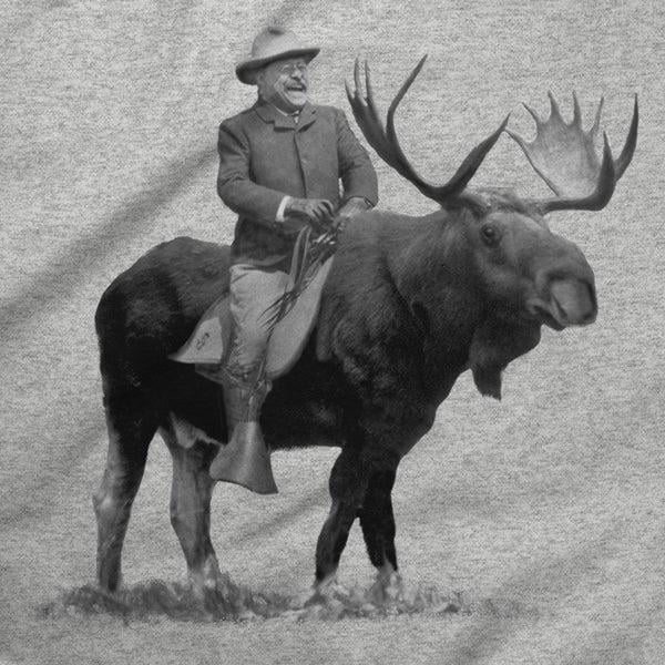 Moose Riding A Rabbit Can You Ride A Moose