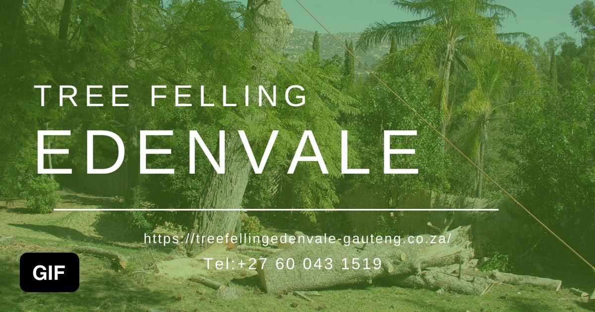 Professional Tree Felling Edenvale Tree Felling Edenvale, Edenvale 9GAG