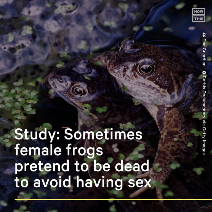 Yours do the same? 9GAG