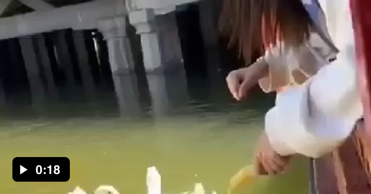How to pick up a duck 9gag