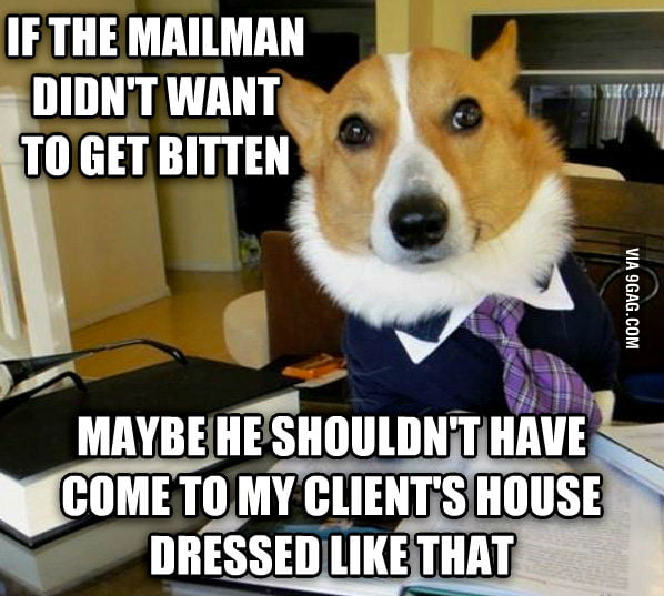 Lawyer Dog 9GAG