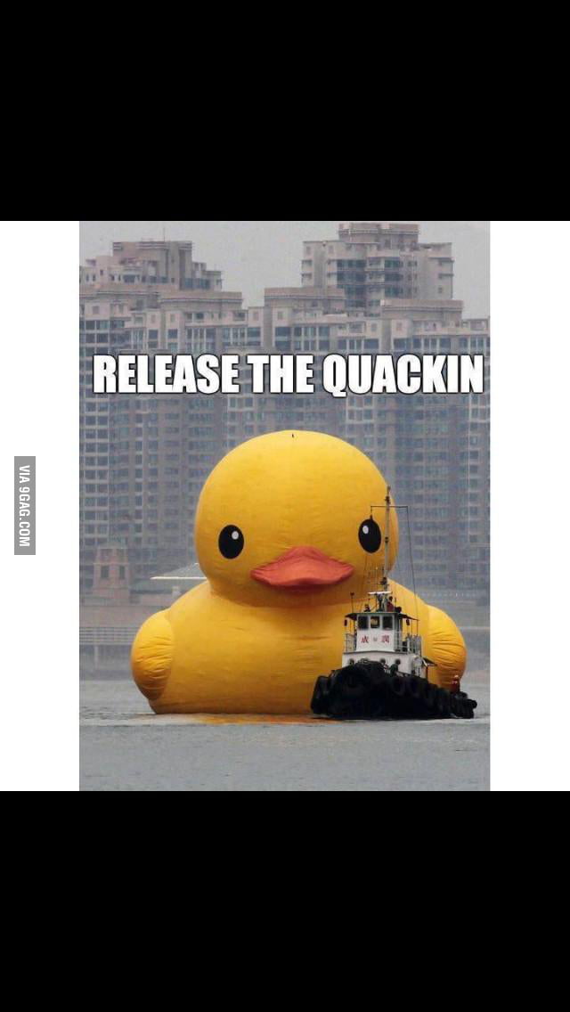 Release the Quackin! - 9GAG