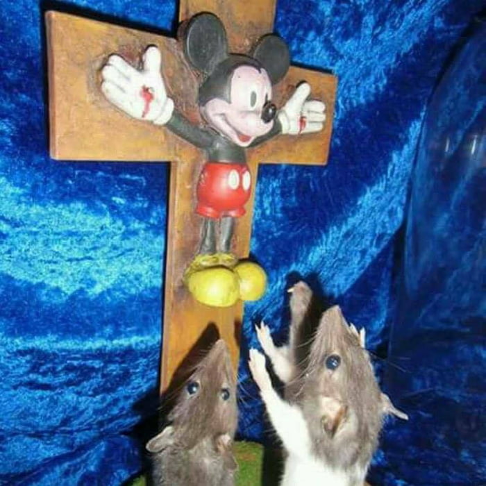 Jesus mouse amen. - 9GAG