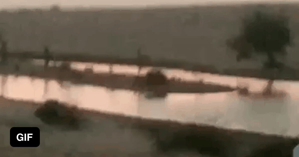Cheetah vs Human - 9GAG