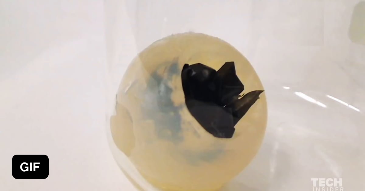 Mushroom that eats plastic 9GAG