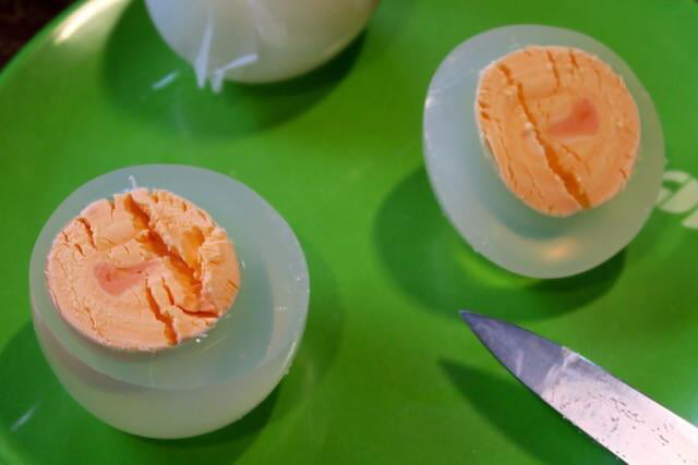 Boiled Penguin Eggs Have See-Through Whites, Just In Case You