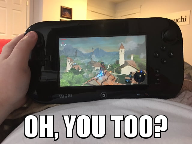 Response To Switch Owners Who Brag About Being Able To Play Zelda While In Bed 9gag