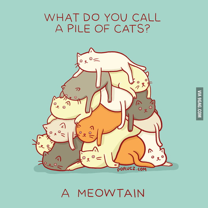 A meowtain