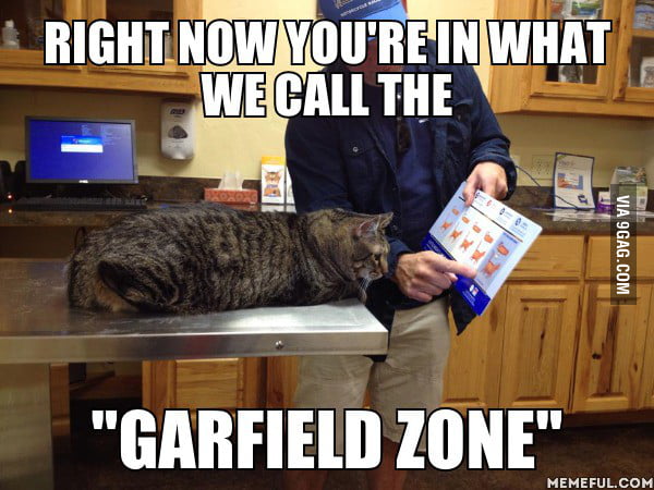 I saw the cat at the vet picture and couldn't resist. - 9GAG