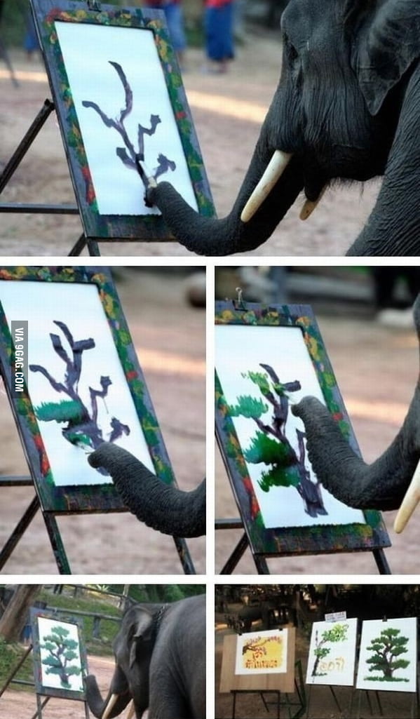This elephant can paint better than me! 9GAG