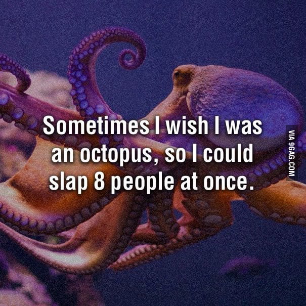 I admit it, sometimes I wish I was an octopus... - 9GAG