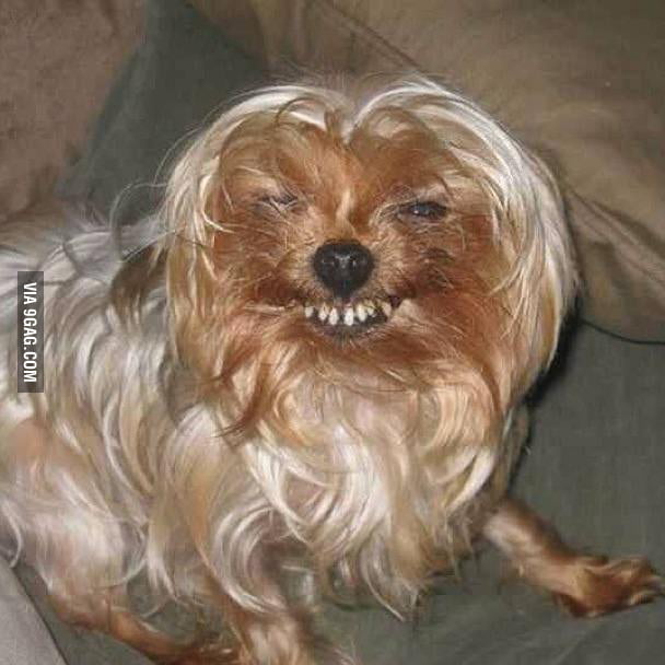 Girls With No Upper Lip Smiles Like This 9gag