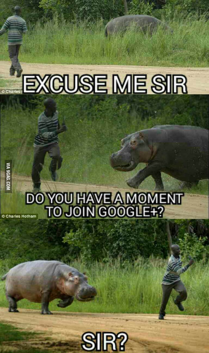 Excuse me sir... - 9GAG