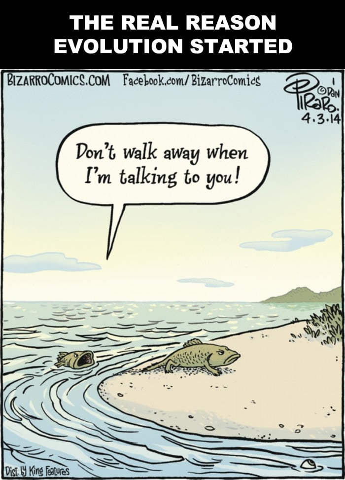 Evolution - 9GAG