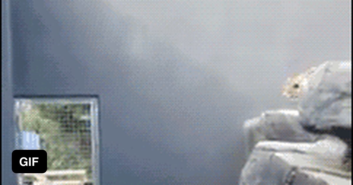 That's cooooool! but why? - 9GAG