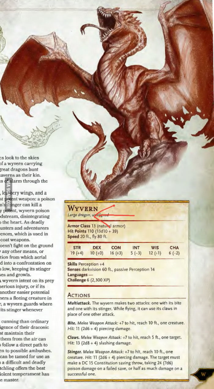 To All The The People Using Dungeons And Dragons Classifications To Say to-all-the-the-people-using-dungeons-and-dragons-classifications-to-say