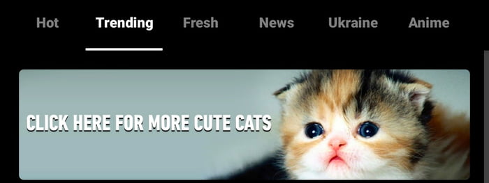Wtf is this fresh hell? - 9GAG