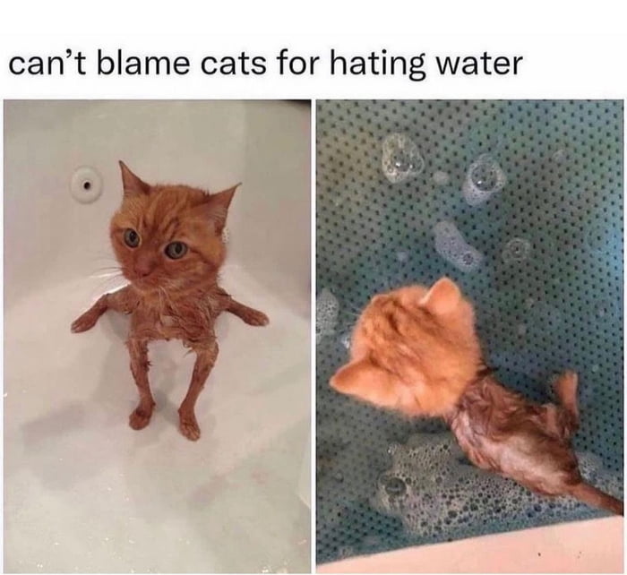 I really hate water, hooman - 9GAG