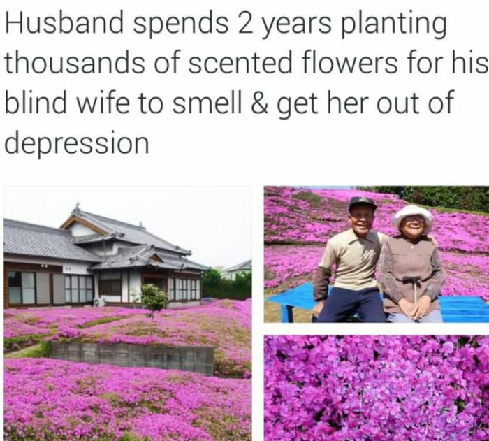 Husband plants 1000s of scented flowers for his blind wife............ 9GAG
