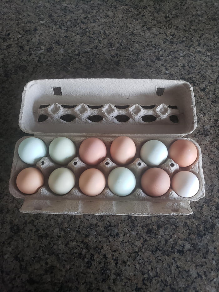 Simple beauty of natural eggs - 9GAG