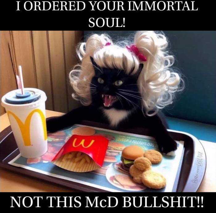 Funny title about cats being evil but cute 9GAG