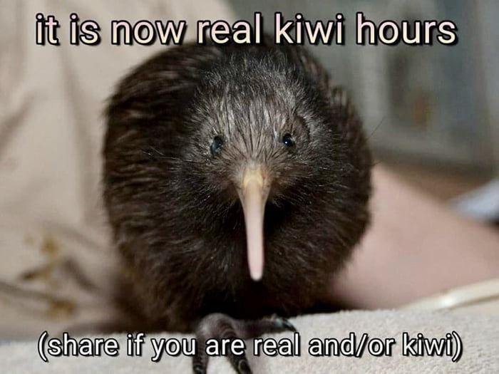 Kiwi I bought in store was shaved, I think - 9GAG