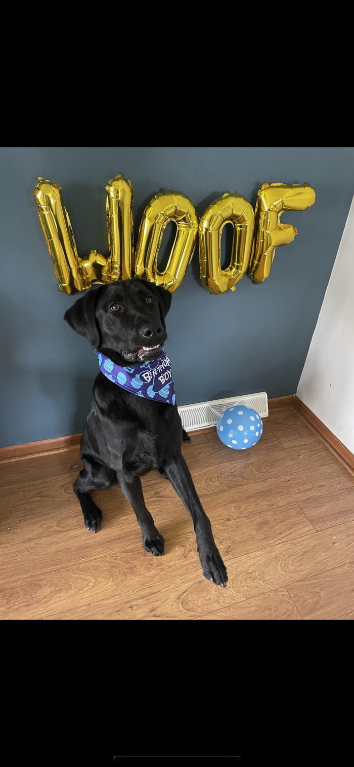 Bensons first birthday ️ 9GAG