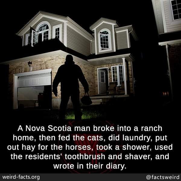 The reverse-burglar - 9GAG
